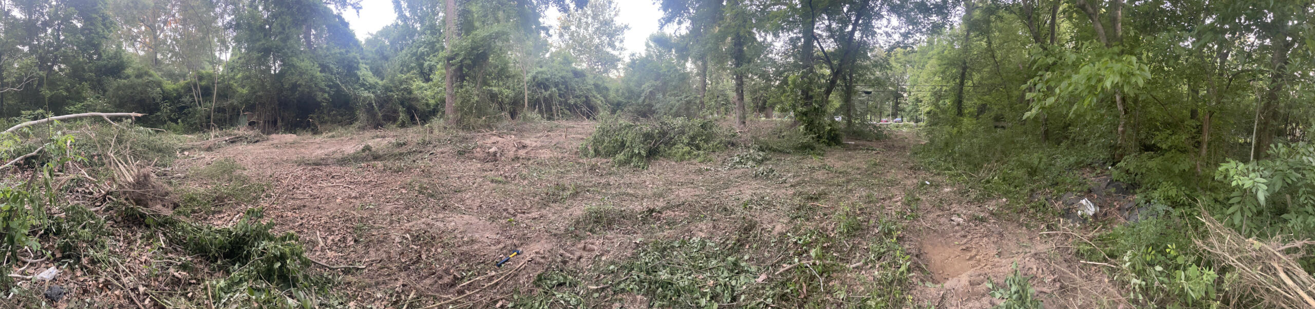 206 Cedars of Lebanon